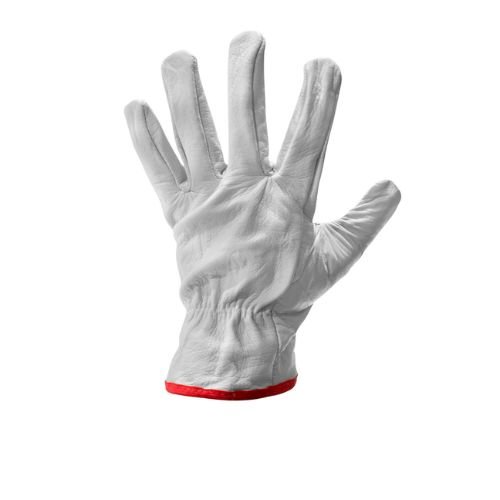 Guante Cabritilla Premium Sin Forro Búfalo – Talla 10 - Imagen 3